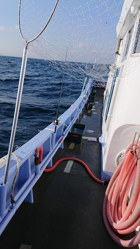 小樽港遊漁船SHAKE 釣果