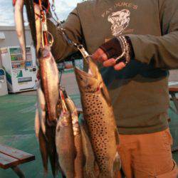 としまえんフィッシングエリア 釣果