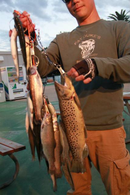 としまえんフィッシングエリア 釣果