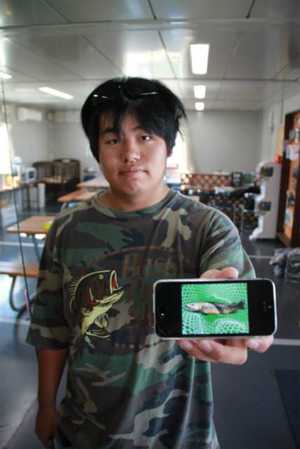 としまえんフィッシングエリア 釣果