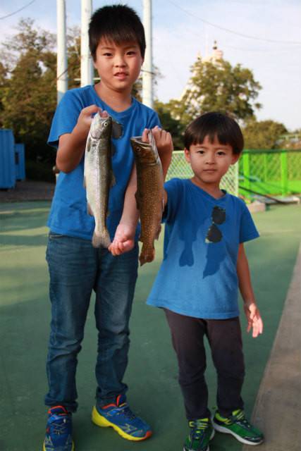 としまえんフィッシングエリア 釣果