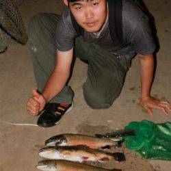 としまえんフィッシングエリア 釣果