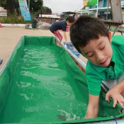 としまえんフィッシングエリア 釣果