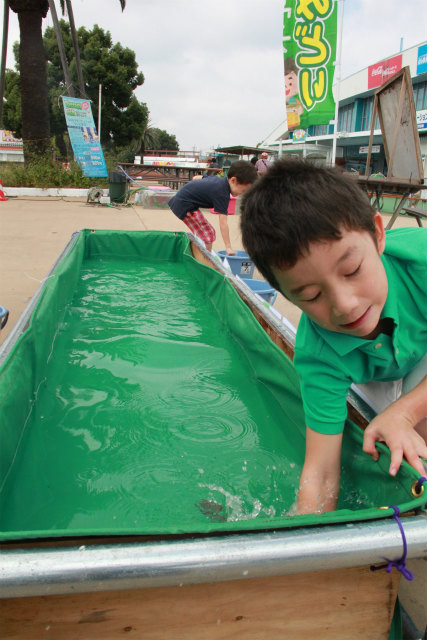 としまえんフィッシングエリア 釣果