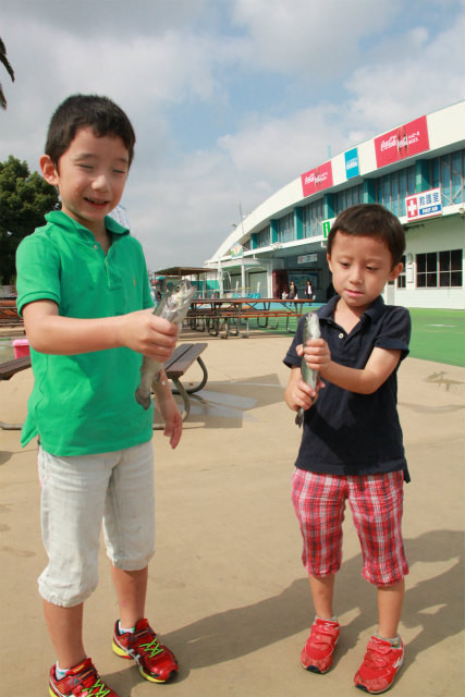 としまえんフィッシングエリア 釣果