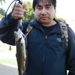 としまえんフィッシングエリア 釣果