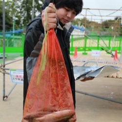 としまえんフィッシングエリア 釣果