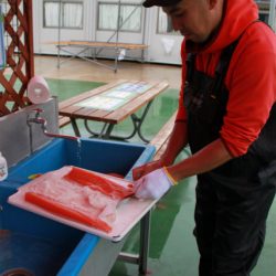 としまえんフィッシングエリア 釣果