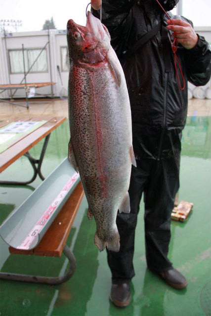 としまえんフィッシングエリア 釣果