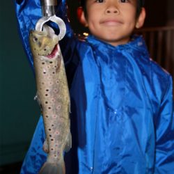 としまえんフィッシングエリア 釣果