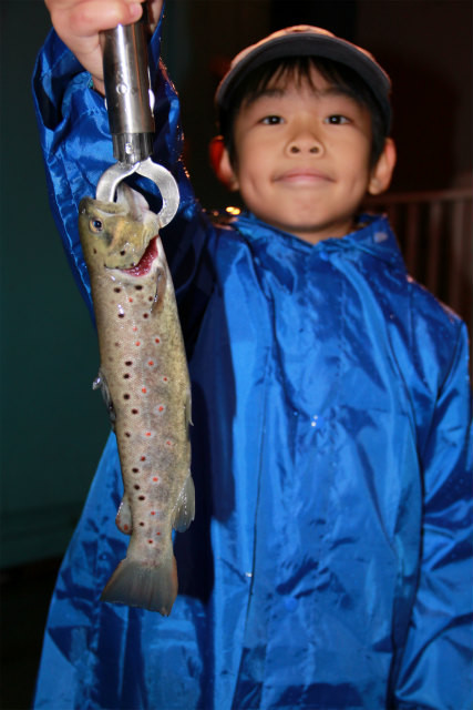 としまえんフィッシングエリア 釣果