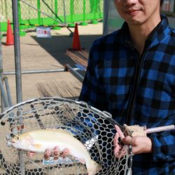としまえんフィッシングエリア 釣果