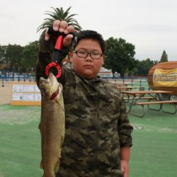 としまえんフィッシングエリア 釣果