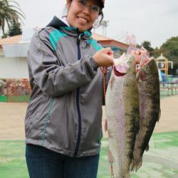 としまえんフィッシングエリア 釣果