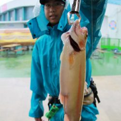 としまえんフィッシングエリア 釣果