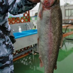 としまえんフィッシングエリア 釣果