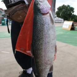 としまえんフィッシングエリア 釣果