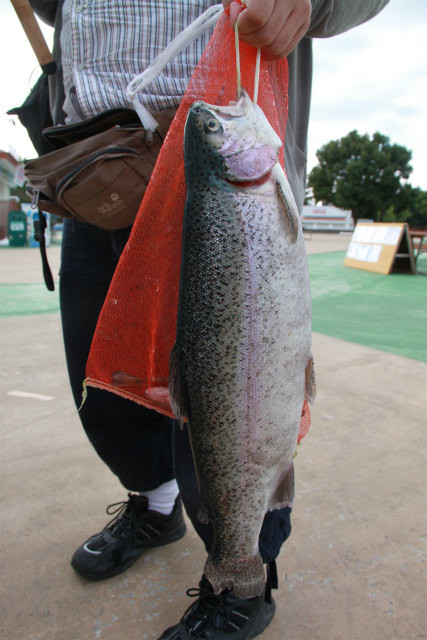 としまえんフィッシングエリア 釣果