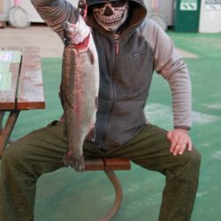 としまえんフィッシングエリア 釣果