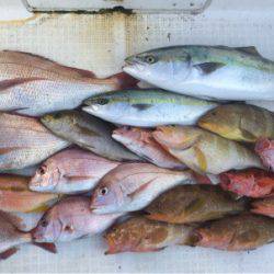 「LaGooN」蒼陽丸 日和号　 釣果