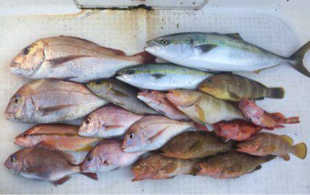 「LaGooN」蒼陽丸 日和号　 釣果