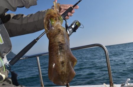 渡船屋たにぐち 釣果
