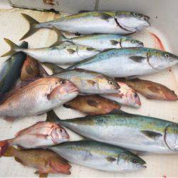 「LaGooN」蒼陽丸 日和号　 釣果