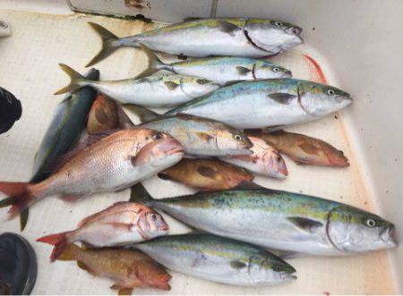 「LaGooN」蒼陽丸 日和号　 釣果