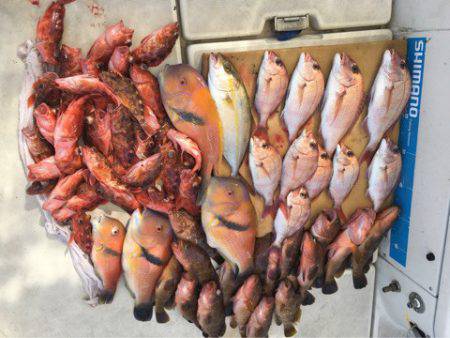 末広丸(熊本) 釣果