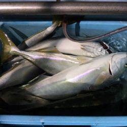 第二八坂丸 釣果