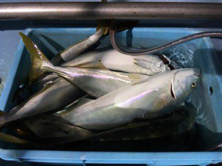 第二八坂丸 釣果