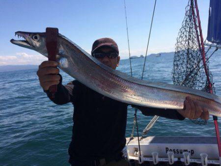 SeaRide(シーライド) 釣果
