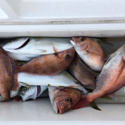 第二八坂丸 釣果