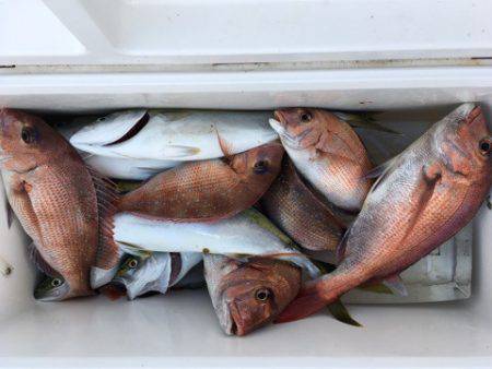 第二八坂丸 釣果