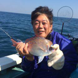 丸万釣船 釣果