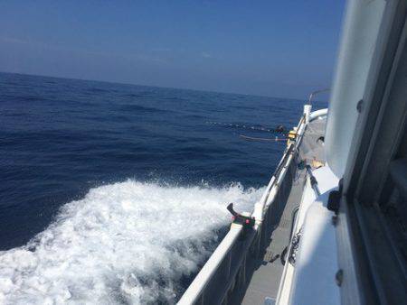 ＴＡＲＯＭＡＲＵ 釣果