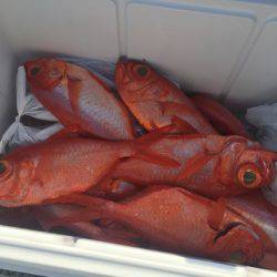 ＴＡＲＯＭＡＲＵ 釣果