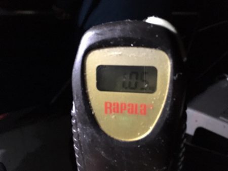 エヌスタイル 釣果