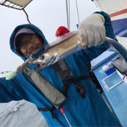 ヤザワ渡船 釣果