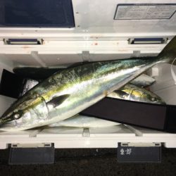 第二八坂丸 釣果