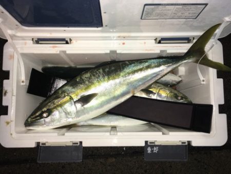 第二八坂丸 釣果