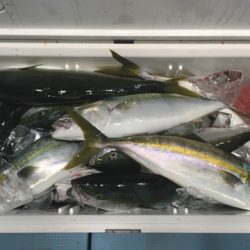 第二八坂丸 釣果