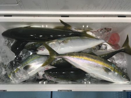 第二八坂丸 釣果