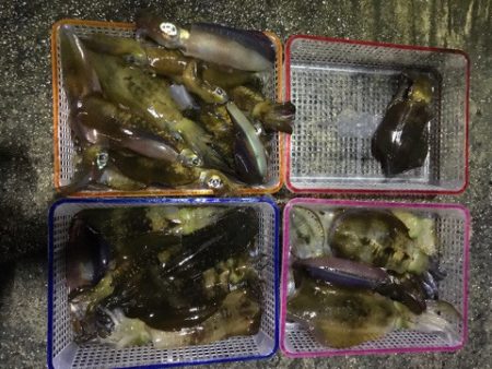 まるいち丸 ZERO-1 釣果