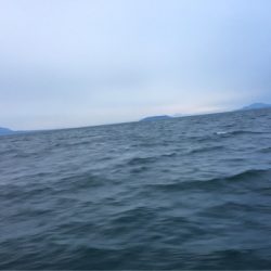 末広丸(熊本) 釣果