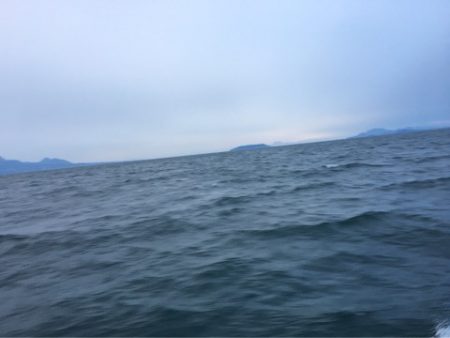 末広丸(熊本) 釣果