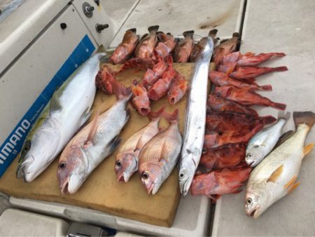 末広丸(熊本) 釣果