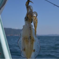 渡船屋たにぐち 釣果