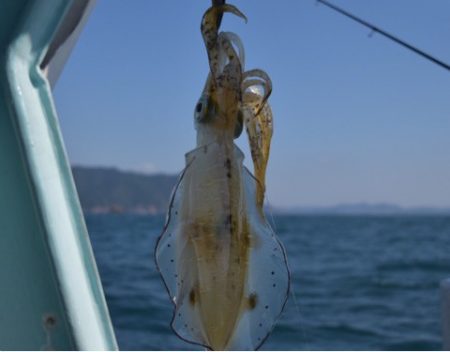 渡船屋たにぐち 釣果