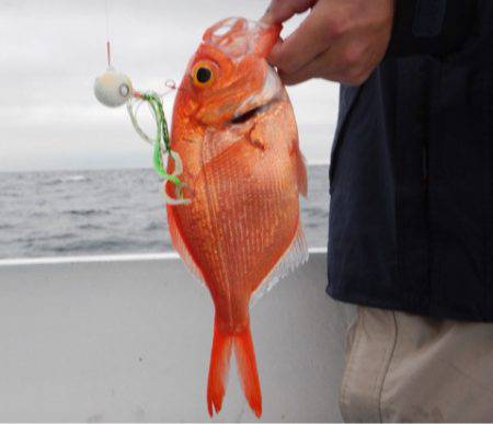 渡船屋たにぐち 釣果